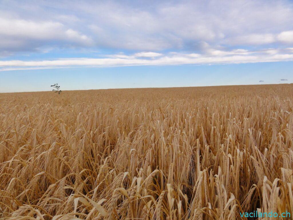 Landschaft Tschechien