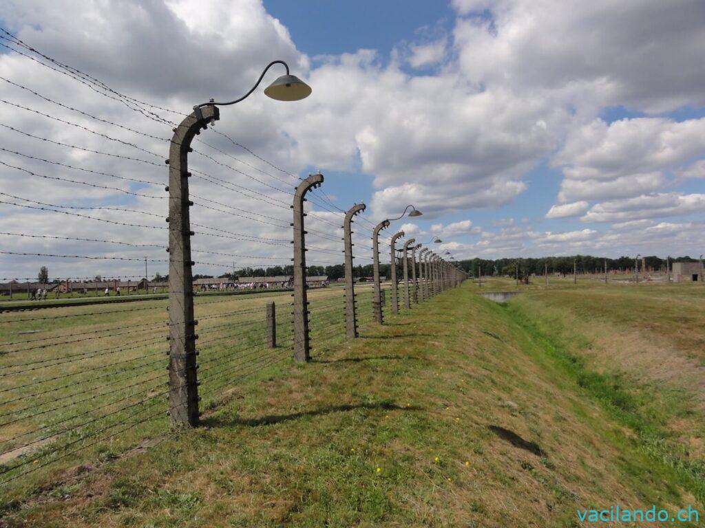 Zaun Auschwitz