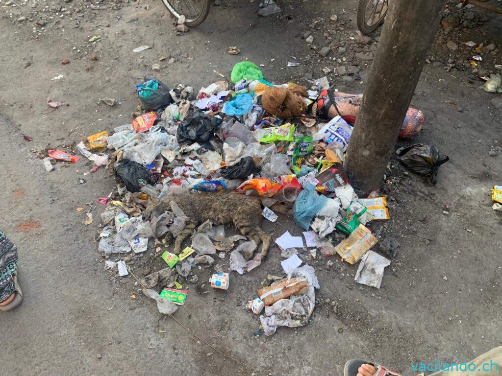 Amritsar Indien
Mit Camper und Fahrrad
Abfall und Dreck