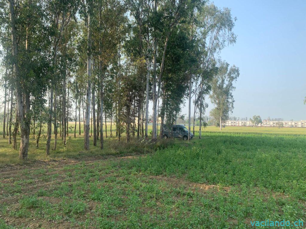 Wildcampen in Indien mit den Camper