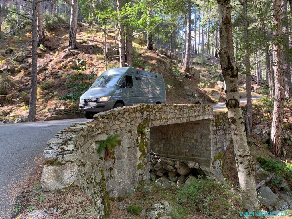 Restonica Tal Koriska
