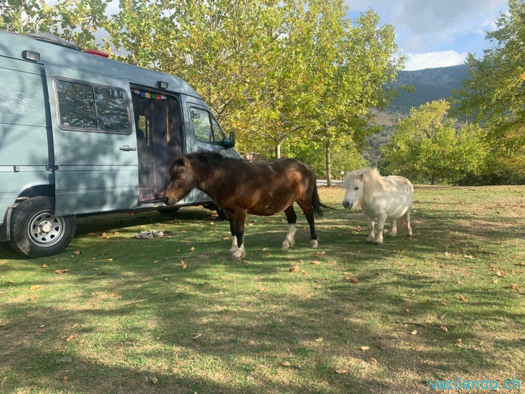 Camping nahe Monte Ginto Koriska 