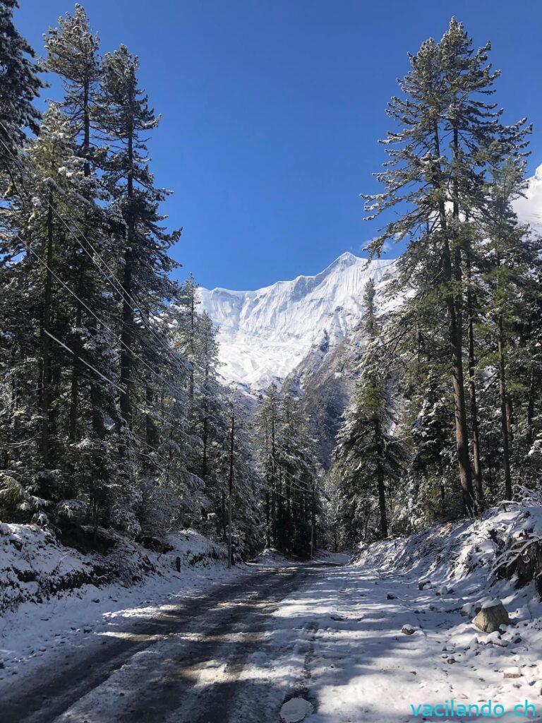 Annapurna Trek Nepal