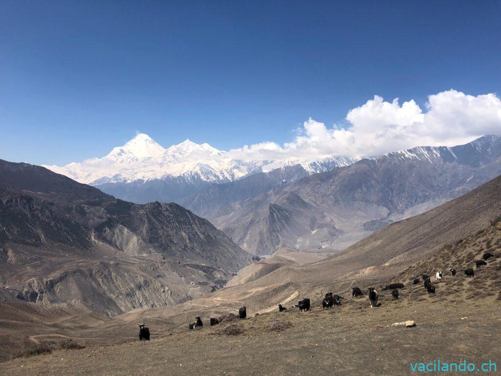 Annapurna Trek Nepal