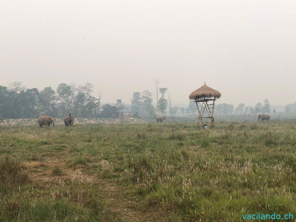 Chitawn Nationalpark Nepal