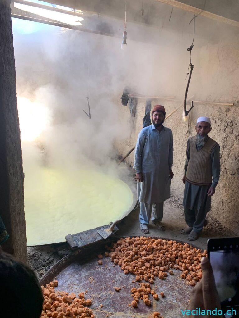 Zuckerrohr Produktion Pakistan