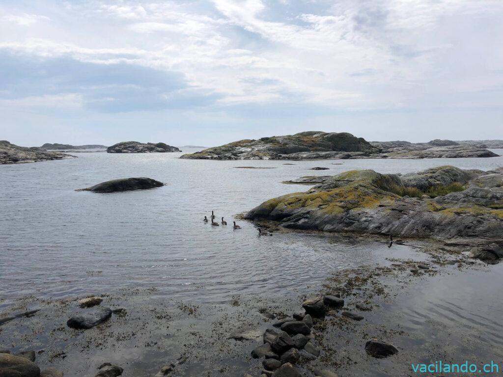 Insel Öckerö Göteborg Stellplatz