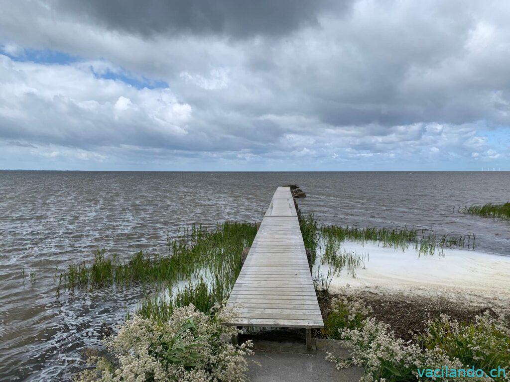 Bauernhofcamping Schweden Malmö Gessie