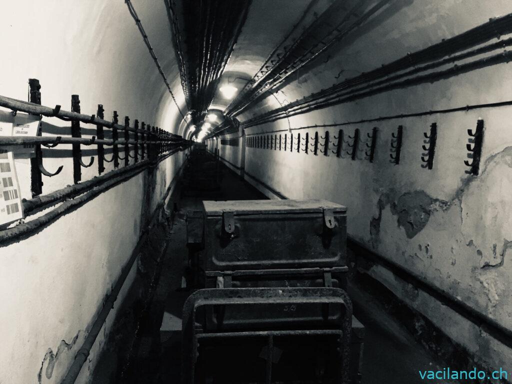 Fort Hackenberg Tunnel